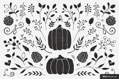 手绘素描花卉矢量素材 植物花边图案在平面设计中的应用